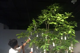Yoko Ono project at new art centre