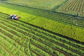 Mekong Delta urges more high-tech farming investment