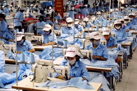 Prime Minister urges Vinatex reform