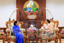 Ho Chi Minh City delegation congratulates Lao New Year festival 
