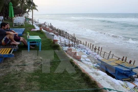 Measures sought to protect Cua Dai beach