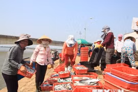 Deputy PM urges completing compensation for fishermen