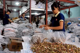 Two waves of European investment to hit Vietnam 