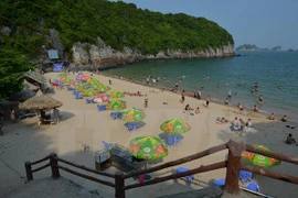 Tourism sector focuses on quality development