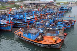 Quang Ngai asked to roll out measures to end illegal fishing