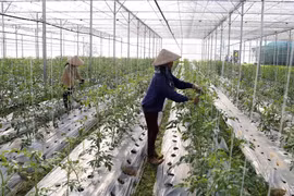Cooperatives told to improve competitiveness