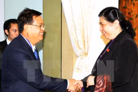 Vietnam hopes for Laos’s support in Mekong River water management