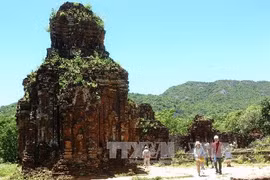 Exhibition on central region’s Cham towers kicks off