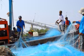 Kien Giang branches out marine economy