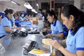 Vietnamese female entrepreneurs empowered 