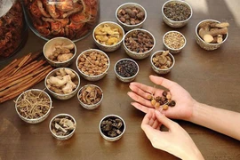 Traditional medicine fails to meet standards