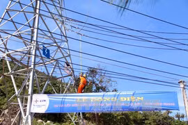 2.6 trillion VND invested to enhance southern electricity network 