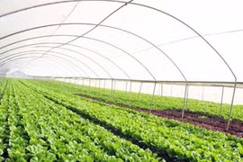 Forum discusses developing agricultural products’ labels, brands