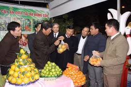  Festival promotes Bac Giang fruit industry