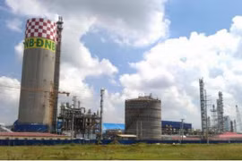 Vinachem seeks delay in plant equitisation