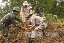 US-based PeaceTrees delegation visits Vietnam 