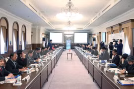 Vietnamese, Japanese localities seek stronger economic links