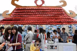 Vietnamese students show off talent in China