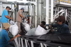 Rice producers, exporters aim to increase consumption