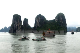 Tourism sector works to improve service quality 
