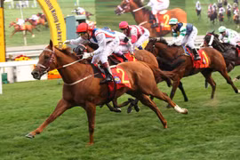 New 70-ha racecourse opens in Lam Dong