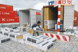 HCM City to tackle smuggling, trade fraud at port