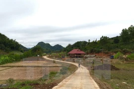 Rural transport development helps promote poverty reduction
