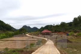 Rural transport development helps promote poverty reduction