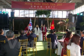 Vietnamese communities in RoK, Belgium celebrate Tet