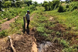 Irrigation channel unused amidst drought