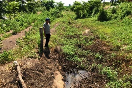 Irrigation channel unused amidst drought