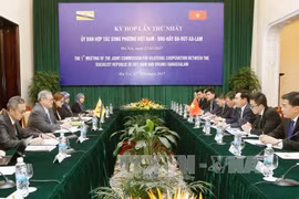 Vietnam-Brunei joint commission’s meeting hailed 