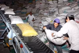 Mekong Delta region enjoys 3.5 billion USD trade surplus in six months