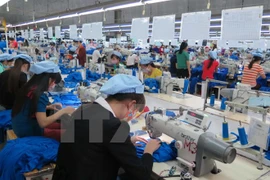 Garment exports likely to hit 31 billion USD in 2017