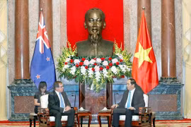 President hopes NZ to join economic development in Vietnam