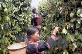 Farmers' Union promotes support for farmers 