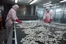 Experts stress a must for shrimp value chain