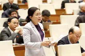 Legislators support appointment of chiefs of special administrative units