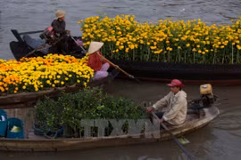 Cai Rang Floating – A must-see place in Mekong Delta