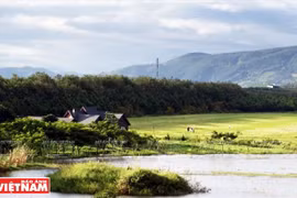 Japanese firms tour farming areas in Lam Dong 