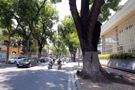 Heat wave blankets northern region
