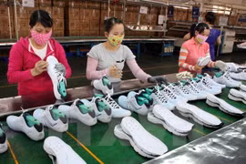Development fund offers financial aid to SMEs
