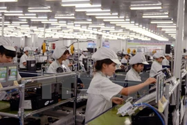 FDI in HCM City IZs expected to hit 500 mln USD in 2017