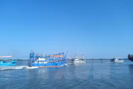 Fisheries – important economic sector of Vietnam 