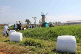 SCIC to auction 3.33 percent of Vinamilk stake next month