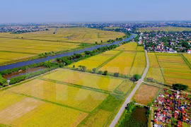 Agro-forestry-fishery exports target 35 billion USD next year