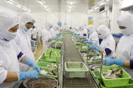 Ca Mau moves to expand shrimp export market 