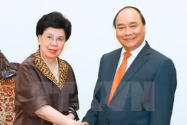 Prime Minister meets WHO leader in Hanoi