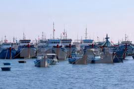 Over 426,000 USD to support offshore fishing in Thua Thien-Hue