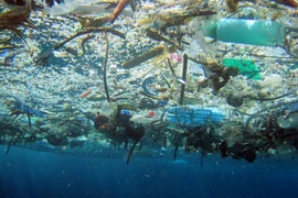 East Asian countries join hands to fight plastic waste in ocean